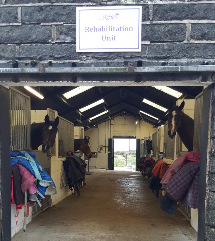 Racehorse rehabilitation unit