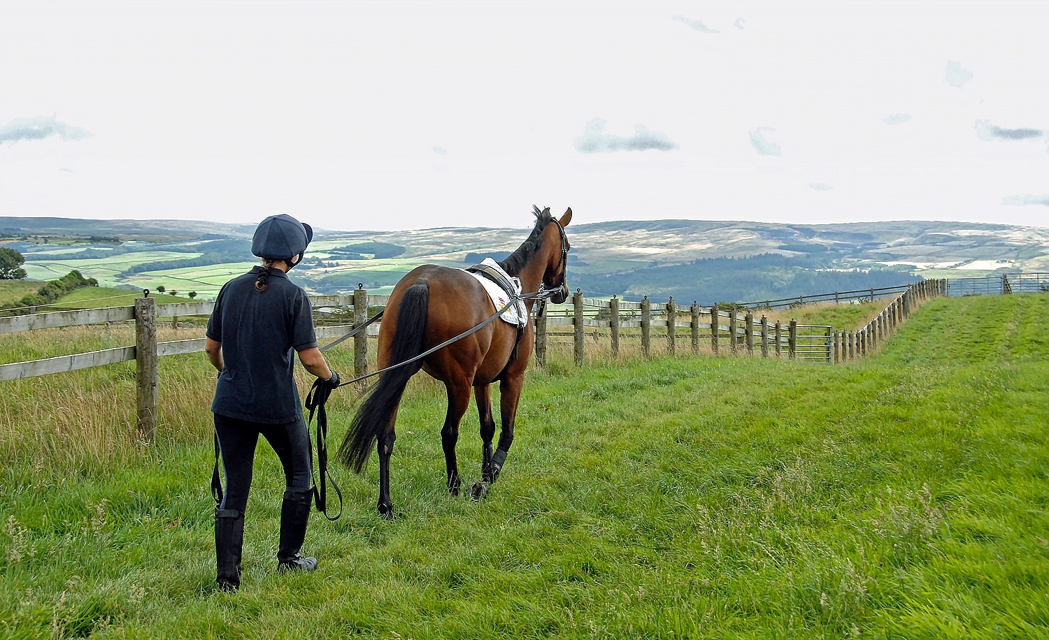 Work Rider Vacancy – July 2021 – The British Thoroughbred Retraining ...